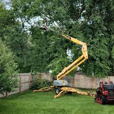 Best Lawn Irrigation Installation and Maintenance  in Wenonah, NJ