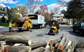 Best Lawn Dethatching  in Wenonah, NJ
