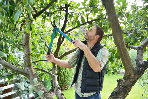 Best Weed Control  in Wenonah, NJ